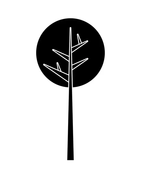 Nature design. tree with branches icon. vector graphic — Stock Vector
