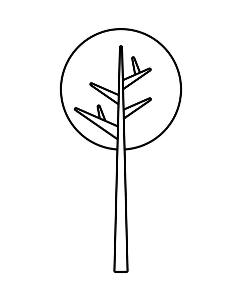 Doğa tasarımı. dalları simgesi ile ağaç. vektör grafiği — Stok Vektör