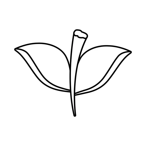 Folhas de silhueta com desenho de ramo. gráfico vetorial — Vetor de Stock