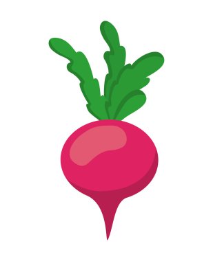 organik ve sağlıklı gıda kavramı. sebze simgesi. vektör grafiği