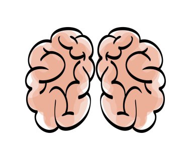 İnsan organ tasarımı. beyin simgesi. vektör grafiği
