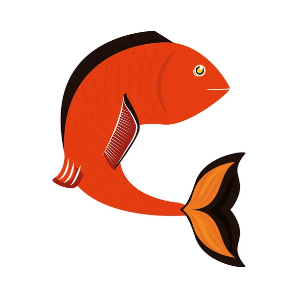 Fish design over isolated background. Sea life icon, vector grap — Stock Vector