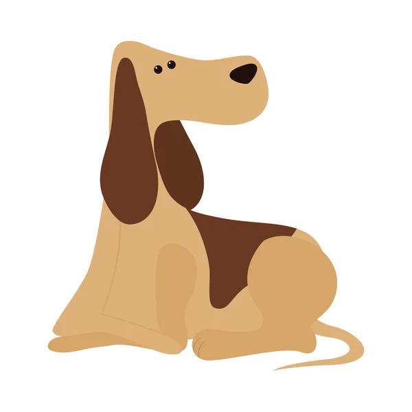 Djur och husdjur kärlek. Hund cartoon ikon. vektorgrafik — Stock vektor
