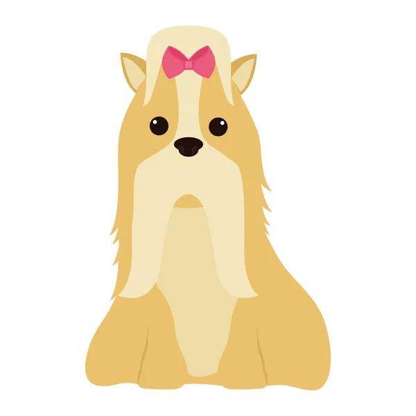 Animal y el amor de mascotas. Icono de dibujos animados para perros. gráfico vectorial — Vector de stock