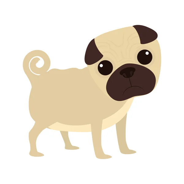 Animal and Pet love. Dog cartoon  icon. vector graphic — Stock Vector