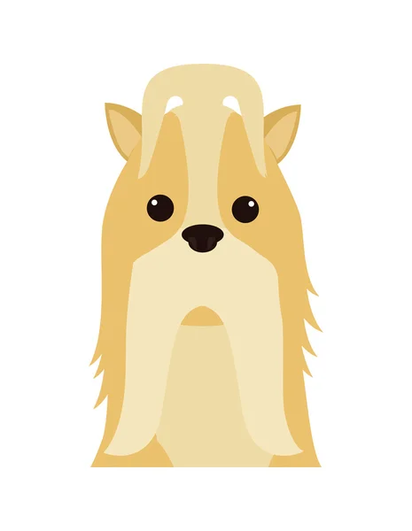 Tier- und Haustierliebe. Hunde-Cartoon-Ikone. Vektorgrafik — Stockvektor