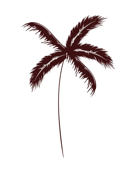 Concepto de verano y playa. Icono de palmera. gráfico vectorial — Vector de stock