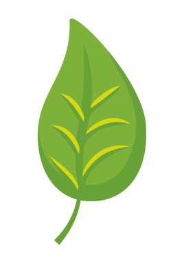 Yaprak simgesi. Eko ve yeşil tasarım. vektör grafiği