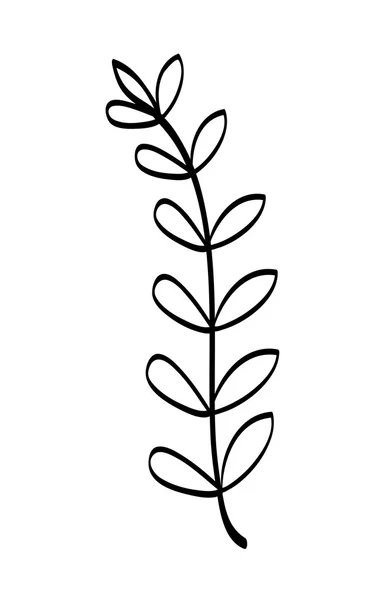 잎 아이콘입니다. 에코와 그린 디자인입니다. 벡터 그래픽 — 스톡 벡터