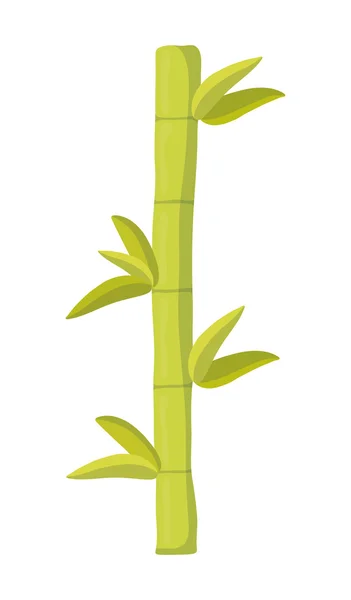 Diseño de bambú. Icono de bambú y hoja. gráfico vectorial — Vector de stock