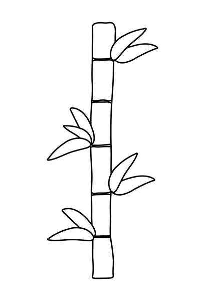 대나무 디자인입니다. 대나무 및 잎 아이콘입니다. 벡터 그래픽 — 스톡 벡터