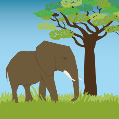 Hayvan tasarımı. fil ve ağaç kutsal kişilerin resmi, vektör grafiği