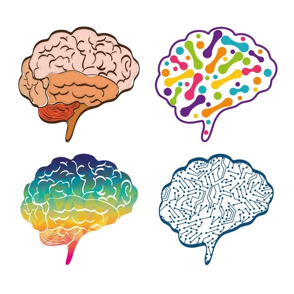 Menschliches Organ. Gehirnsymbole. Vektorgrafik — Stockvektor