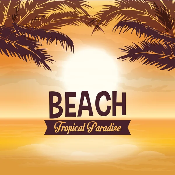 Summer season. Palm and beach icon. vector graphic — Stock Vector