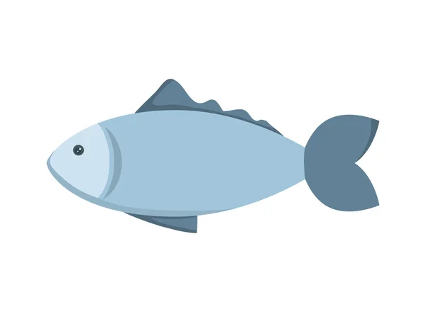 Balık hayvan simgesi. Deniz yaşam tasarım. vektör grafiği — Stok Vektör