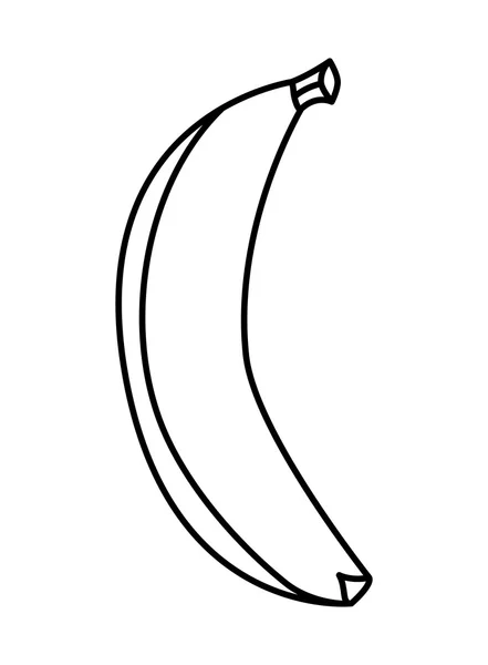 Bananenfrucht-Symbol. Lebensmitteldesign. Vektorgrafik — Stockvektor