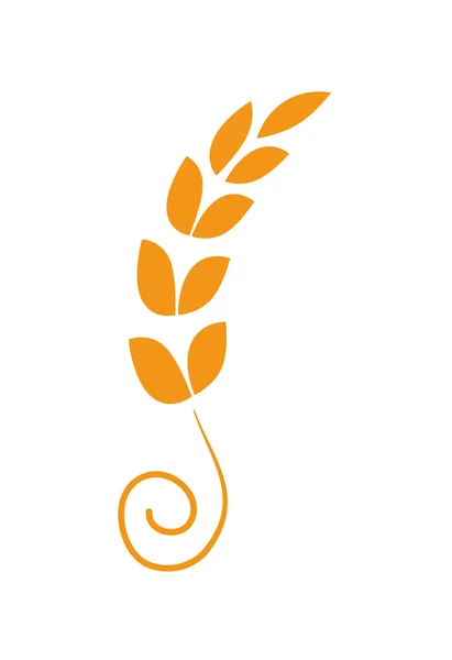 Plante de blé. Conception agricole. graphique vectoriel — Image vectorielle