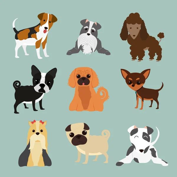 Pet design illustration — Stock Vector