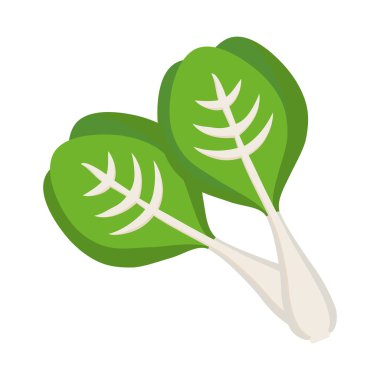 marul simgesi. Sebze tasarım. Vektör grafiği