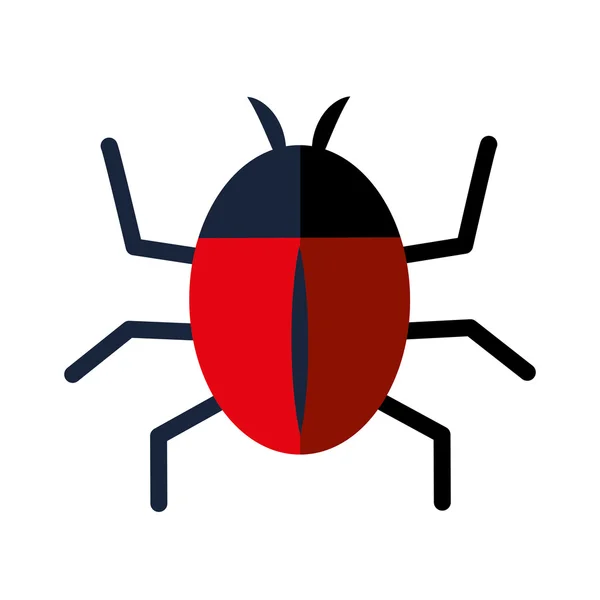 Insect pictogram. Bug ontwerp. vectorafbeelding — Stockvector