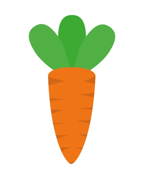 Icono de zanahoria. Alimento orgánico y saludable. gráfico vectorial — Vector de stock