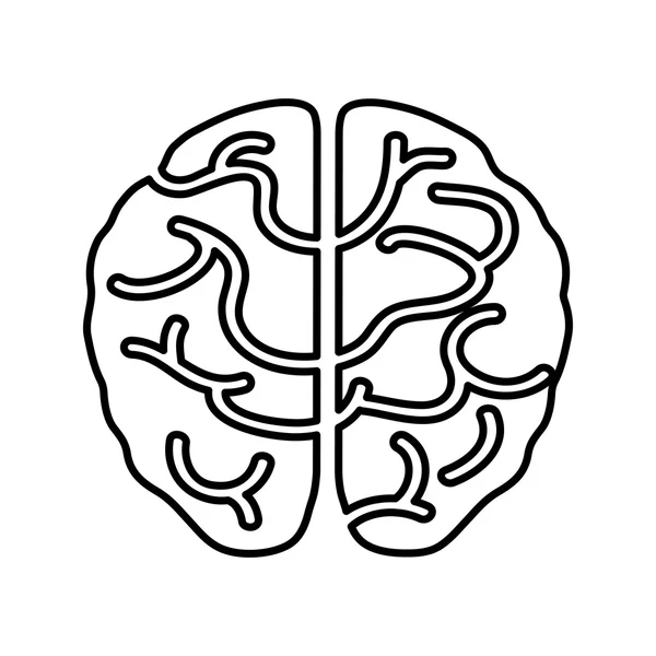 Icono cerebral. Diseño médico y sanitario. Gráfico vectorial — Vector de stock