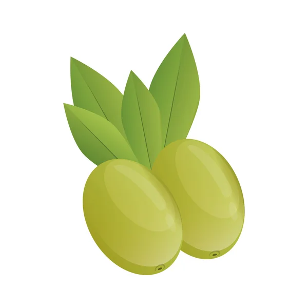 Ícone de oliveira. Design de alimentos orgânicos e saudáveis. Vector graphi — Vetor de Stock