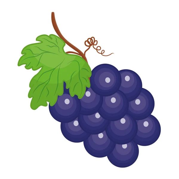 Icono de uvas. Diseño de alimentos orgánicos y saludables. Gráfico vectorial — Vector de stock