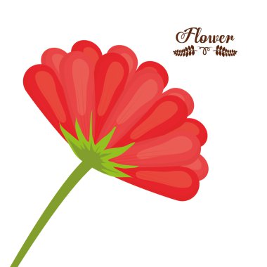 Çizim çiçek tasarım