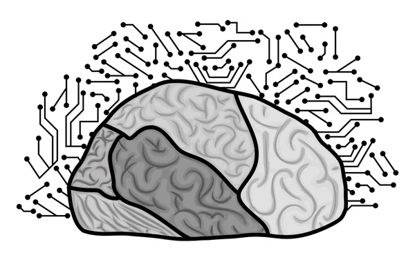 Diseño del cerebro humano. — Vector de stock