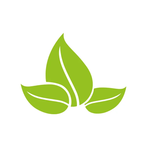 Deja el icono. Diseño de plantas y naturaleza. Gráfico vectorial — Vector de stock