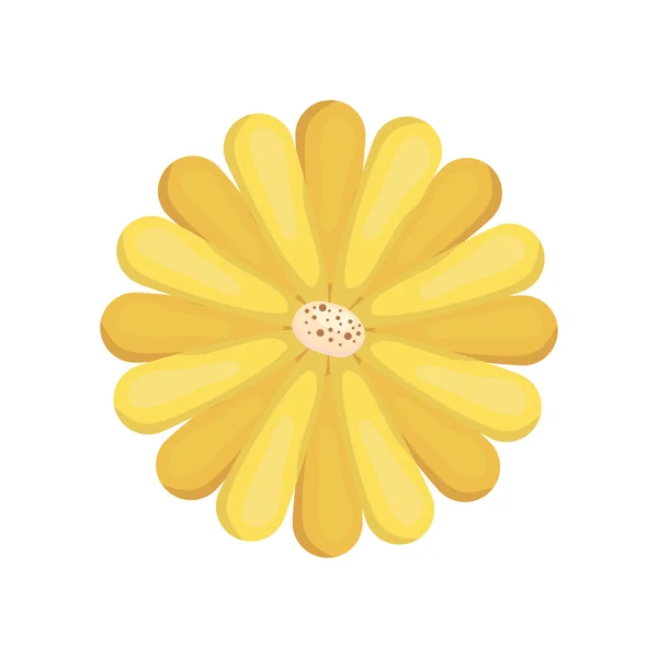 Flower icon. Garden design. Vector graphic — Stock Vector