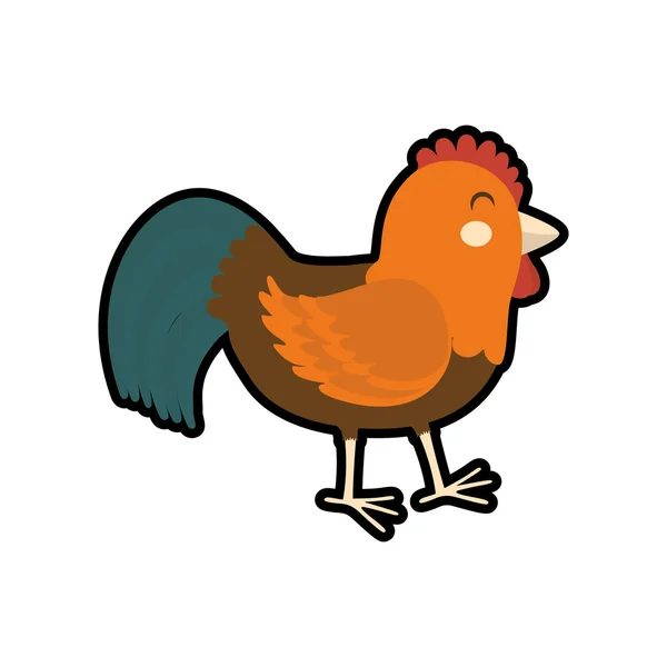 Icono de pollo. Concepto animal de granja. Gráfico vectorial — Vector de stock