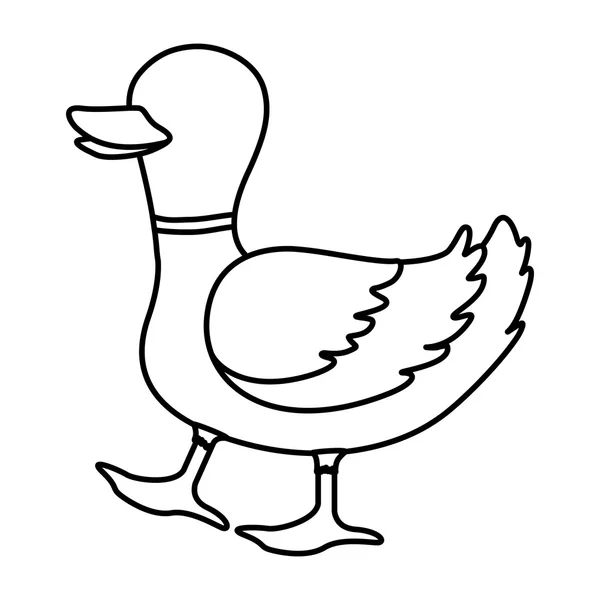 Icono de pato. Concepto animal de granja. Gráfico vectorial — Vector de stock