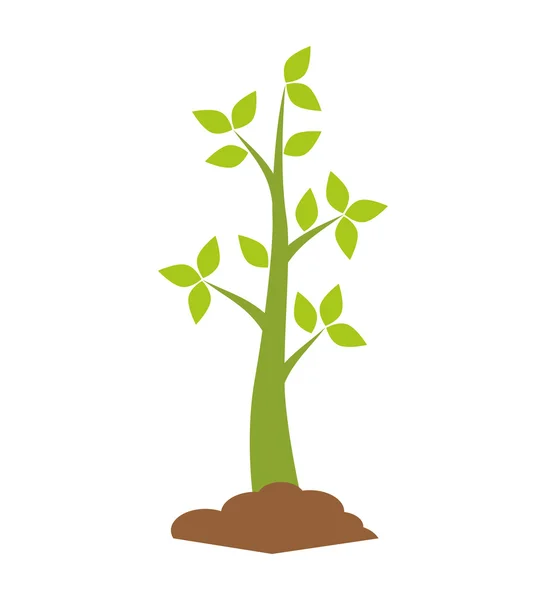 Icono de planta. Diseño de la naturaleza. Gráfico vectorial — Vector de stock