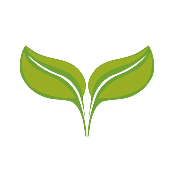 Leaf icon. Природный дизайн растений. векторная графика — стоковый вектор