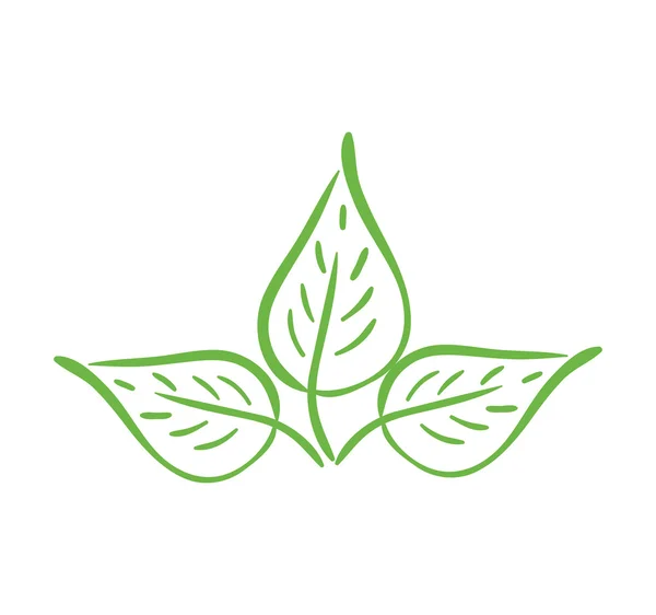 Leaf icon. Природный дизайн растений. векторная графика — стоковый вектор