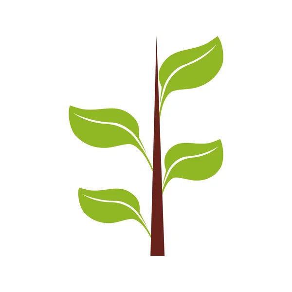 Het pictogram van het blad. Natuur IFS/plant design. vectorafbeelding — Stockvector