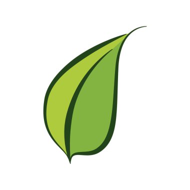 yaprak yeşil simge. Doğa tasarım. Vektör grafiği