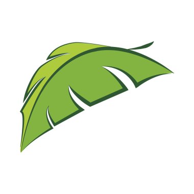 yaprak yeşil simge. Doğa tasarım. Vektör grafiği
