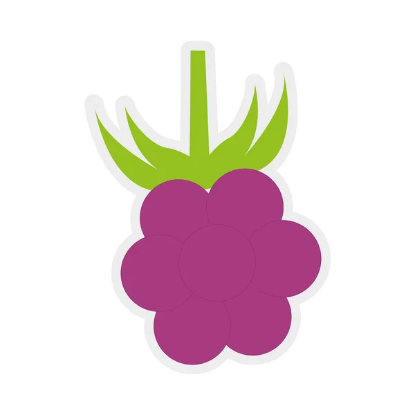 Het pictogram van het Blackberry. Fruit ontwerp. Vectorafbeelding — Stockvector