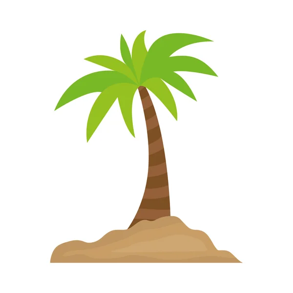 Icono de palmera. Diseño de verano. Gráfico vectorial — Vector de stock