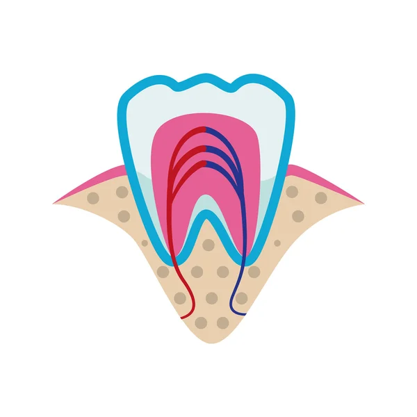 Ícone dos dentes. Desenho de cuidados dentários. Gráfico vetorial — Vetor de Stock