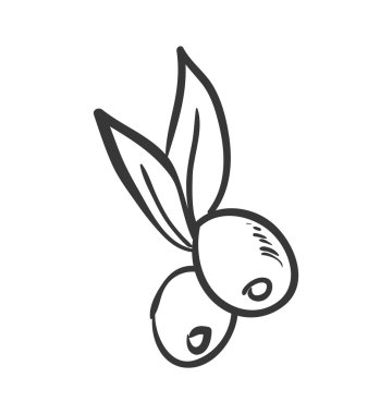 Zeytin meyve ikonu. Organik ve sağlıklı gıda tasarımı. Vektör grafiği