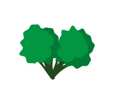 Brokoli simgesi. Sağlıklı ve Organik gıda. Vektör grafiği