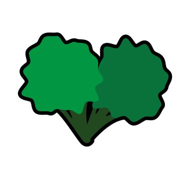 Brokoli simgesi. Sağlıklı ve Organik gıda. Vektör grafiği