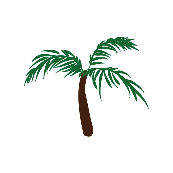 Icono de palmera. Naturaleza y diseño de plantas. Gráfico vectorial — Archivo Imágenes Vectoriales