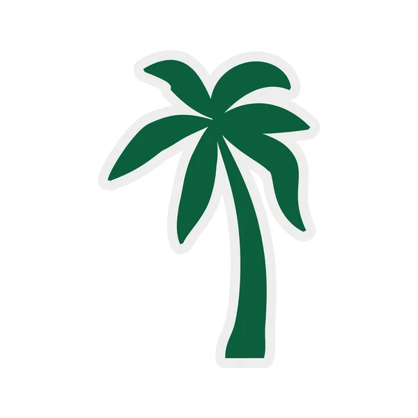 Palm Tree icon. Nature and plant design. Vector graphic — Stock Vector