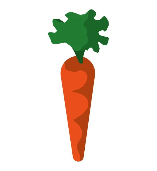 Το εικονίδιο του καρότου. Υγιεινά και βιολογικά φαγητά. Διανυσματικό γραφικό — Διανυσματικό Αρχείο