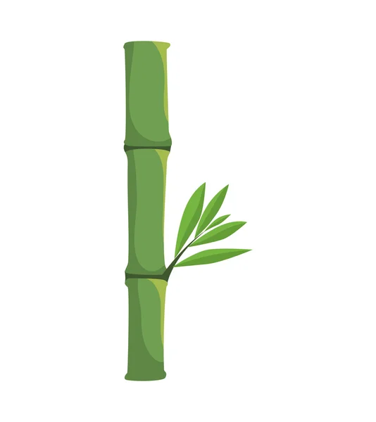 Icono de planta de bambú. Naturaleza y diseño de plantas. Gráfico vectorial — Vector de stock
